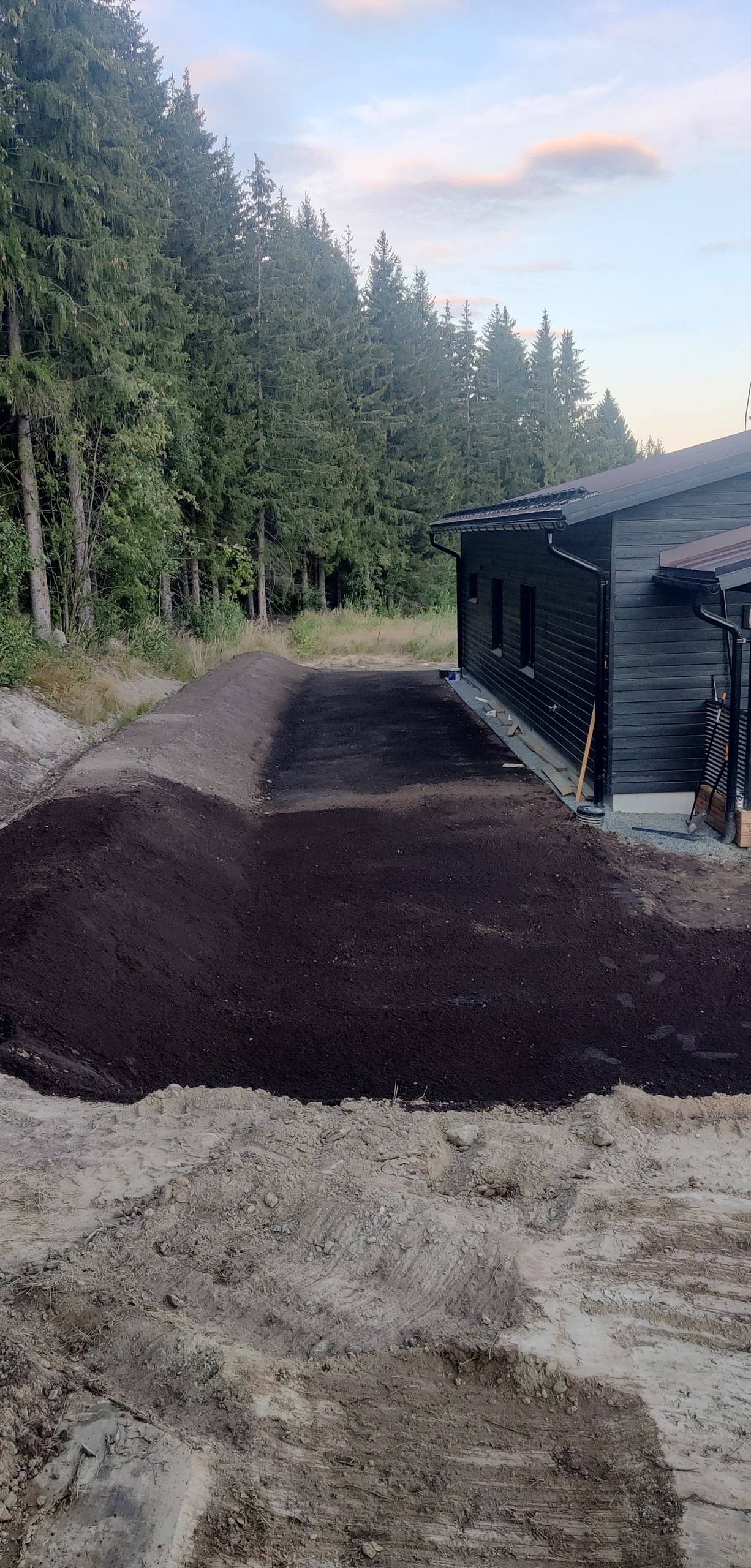 Tumman talon viereen muotoiltu multapenger, joka rajautuu metsän reunaan