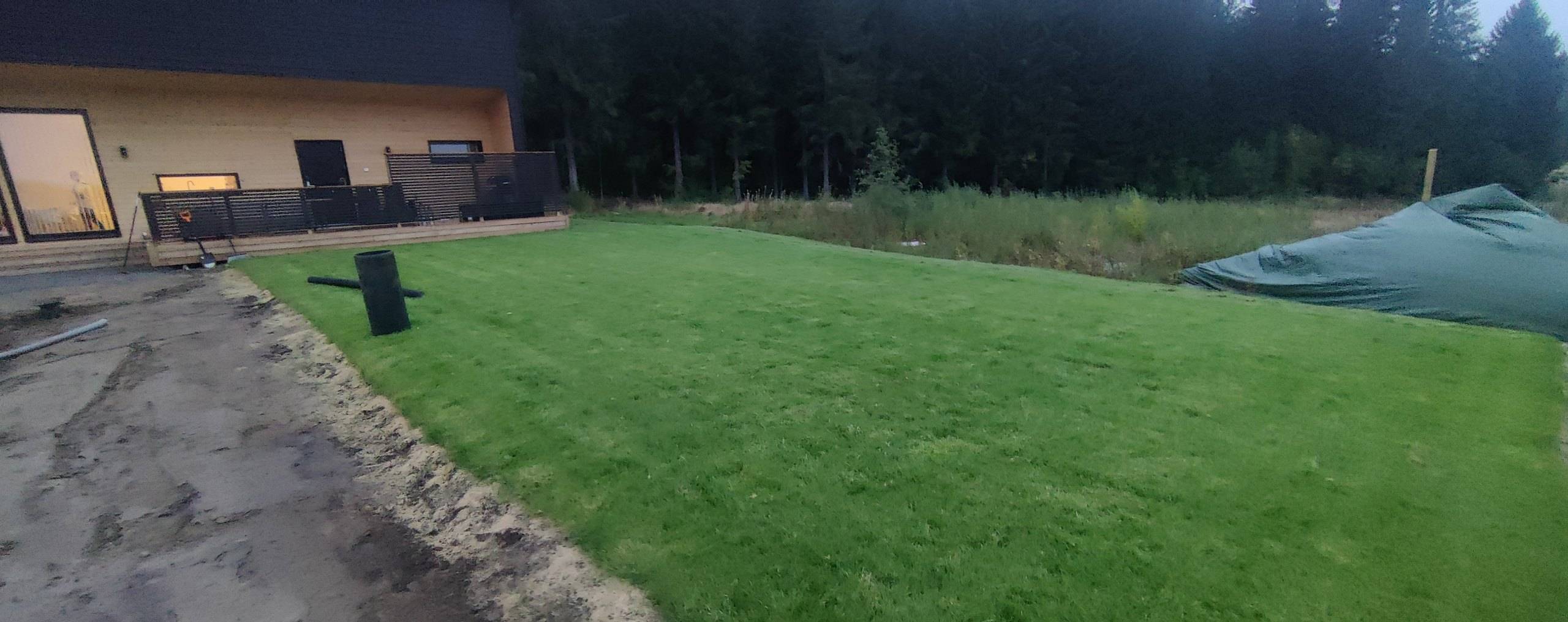 Valmis nurmikko uuden talon pihalla, reunassa tasattu soratie